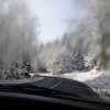 Sneg ob cesti